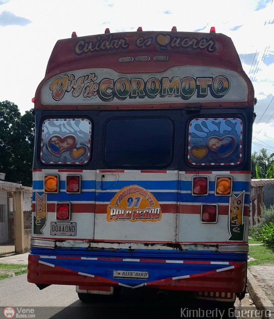 Transporte Palo Negro La Morita 2 097 por Kimberly Guerrero