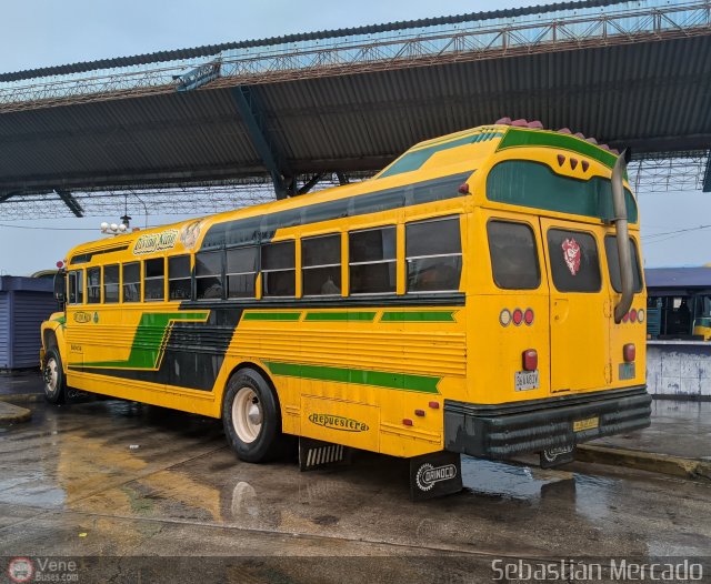 ZU - Colectivos Concepcin 11 por Sebastin Mercado