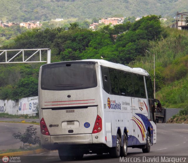 Expresos Occidente 165 por Marcos David M�rquez