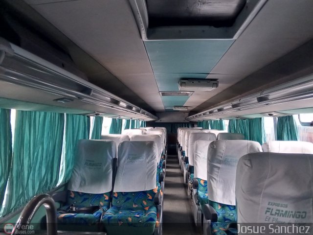 Expresos Flamingo 0141 por Josue Snchez