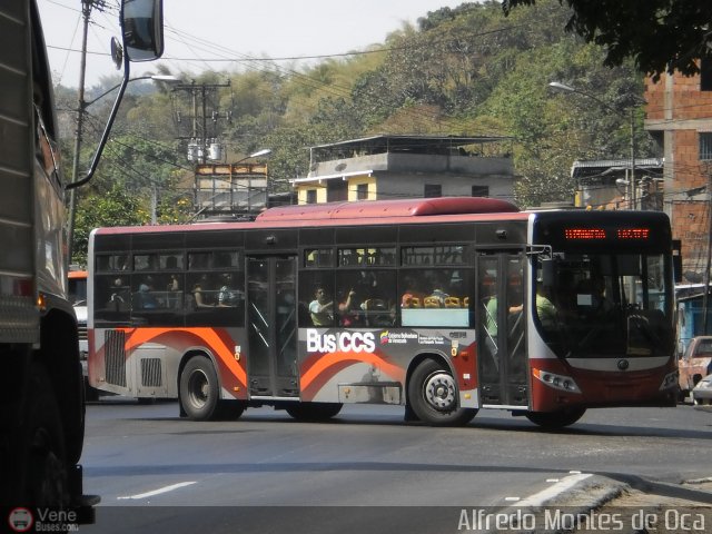 Bus CCS 1211 por Alfredo Montes de Oca