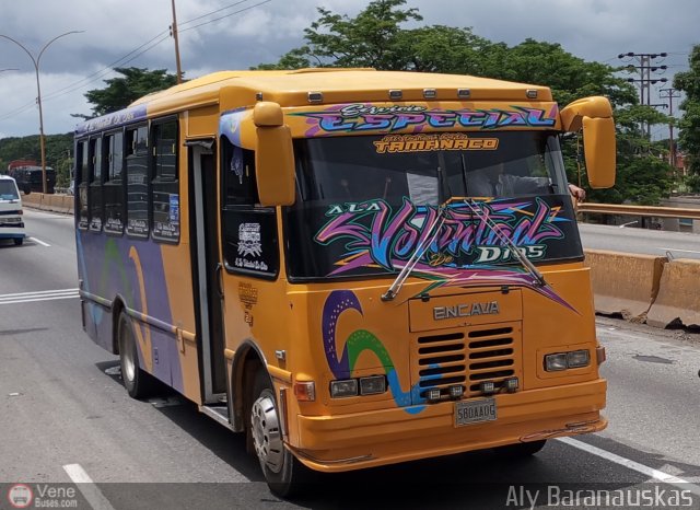 A.C. de Transporte Sol de Tamanaco 28 por Aly Baranauskas