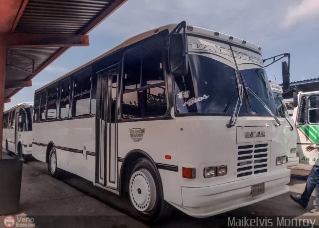 Uni�n Valencia A.C. 011 por Maikelvis Monroy