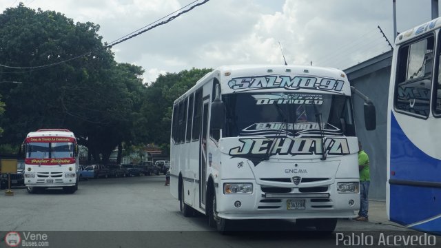 Transporte Gran Orinoco S.C. 53 por Pablo Acevedo