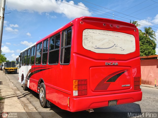 A.C. de Transporte Macizo Guayan�s 04 por Miguel Pino
