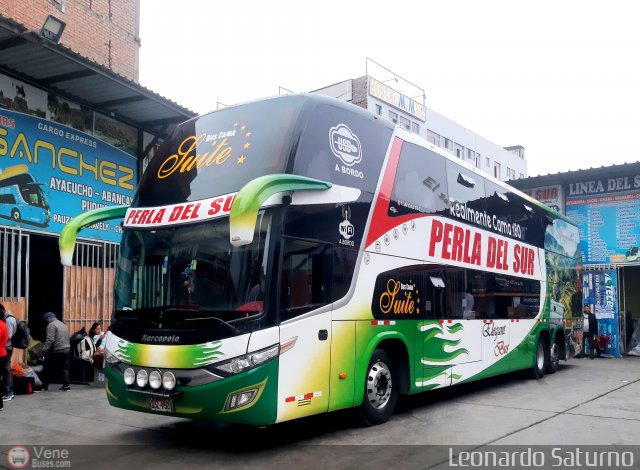 Grupo Perla del Sur S.A.C. 950 por Leonardo Saturno