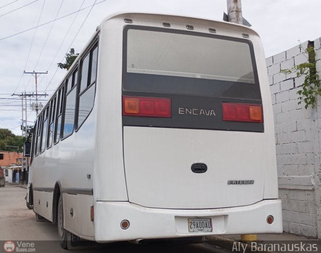 Particular 2900 por Aly Baranauskas