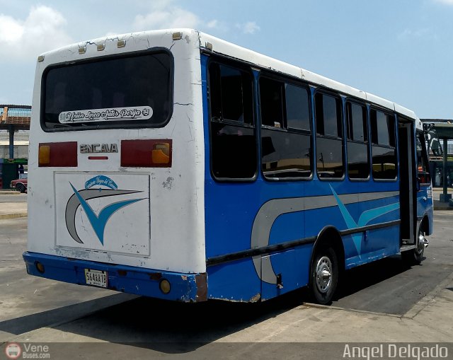 U.L.A.P. Machiques Maracaibo 14 por �ngel Delgado