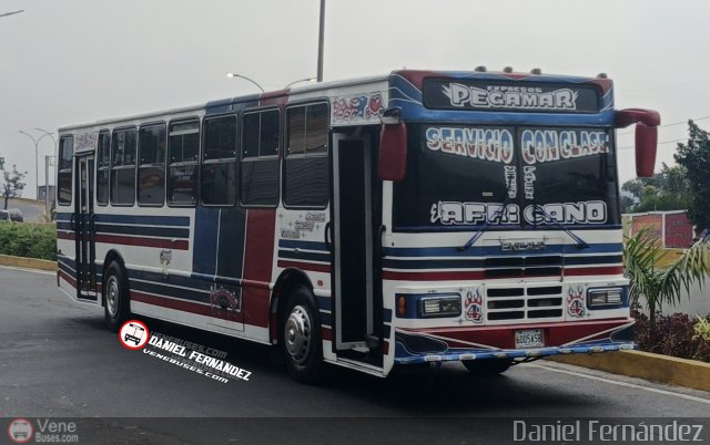 Expresos Pegamar 0004 por Daniel Fernndez