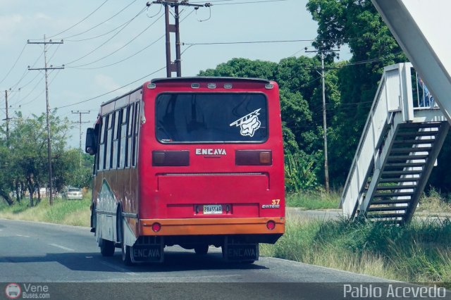 Cooperativa de Transporte Lucero Mundo 037 por Pablo Acevedo
