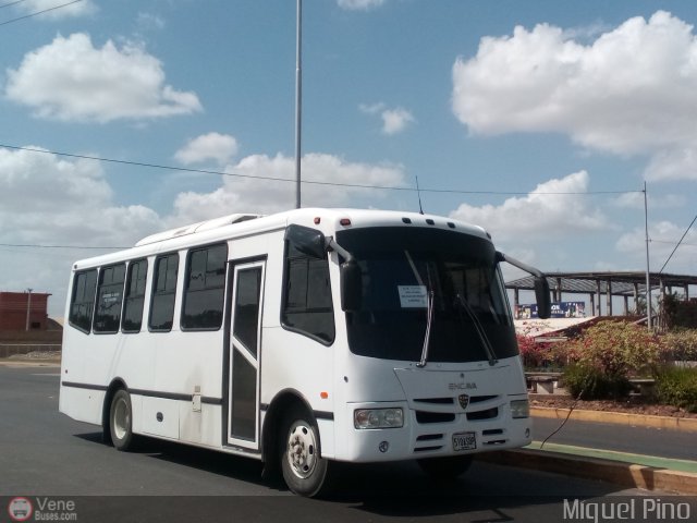 Uso Oficial 510 por Miguel Pino