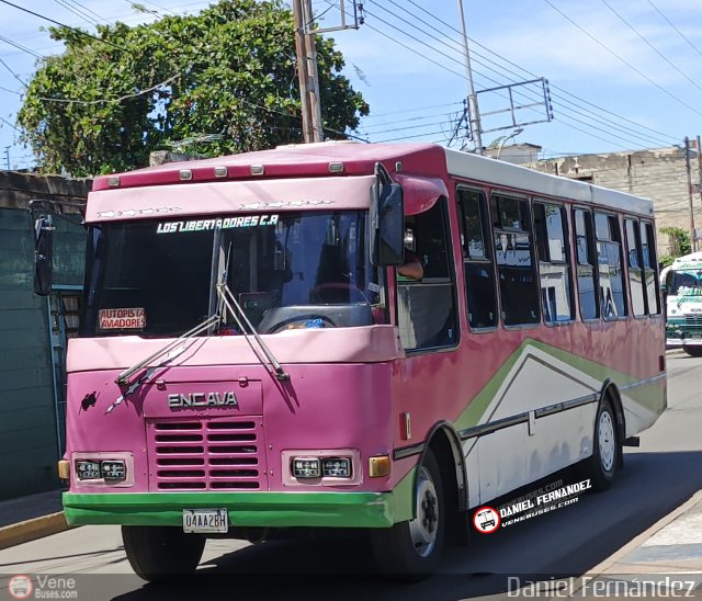 Los Libertadores C.A. 08 por Daniel Fern�ndez