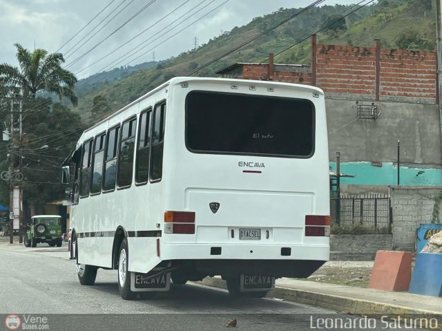 L�nea Uni�n Tovar Santa Cruz 01 por Leonardo Saturno