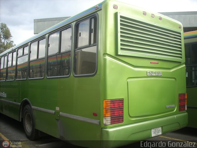 Metrobus Caracas 815 por Edgardo Gonzlez