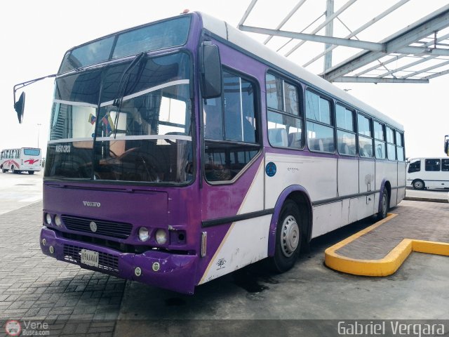 Organizacin Guaicamacuto 634 por Gabriel Vergara