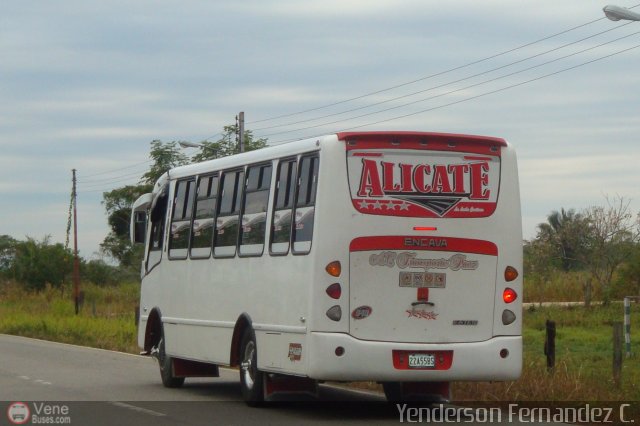 A.C. Transporte Paez 040 por Yenderson Cepeda