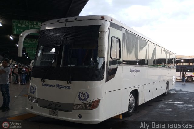 Expresos Pegamar 0016 por Aly Baranauskas