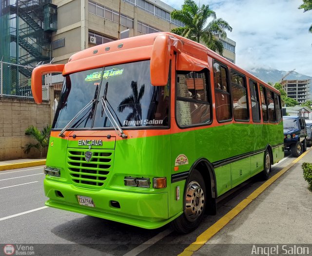 Coop. Transporte Menca de Leoni 080 por �ngel Sal�n