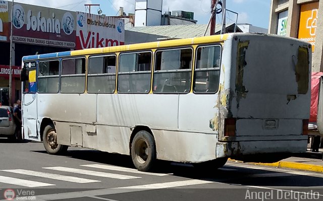 ZU - Colectivos La Limpia - La Estrella 016 por ngel Delgado