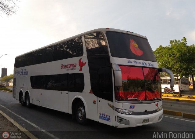 Los Pjaros de Lara 005 por Alvin Rondn