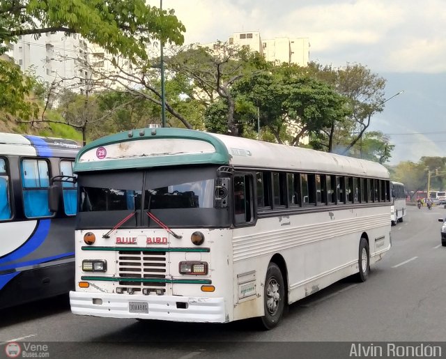 A.C. Boquern Express 29 por Alvin Rondn