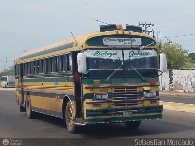 ZU - Colectivos Concepcin 042 por Sebastin Mercado