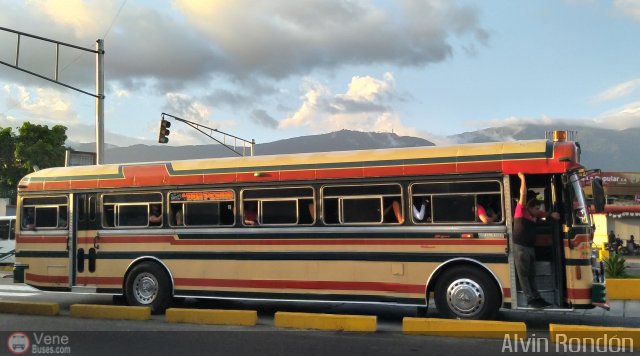 Expresos Gige 12 por Alvin Rondn