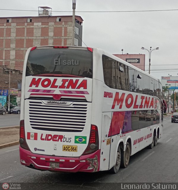 Transportes Molina Per S.A.C. 964 por Leonardo Saturno