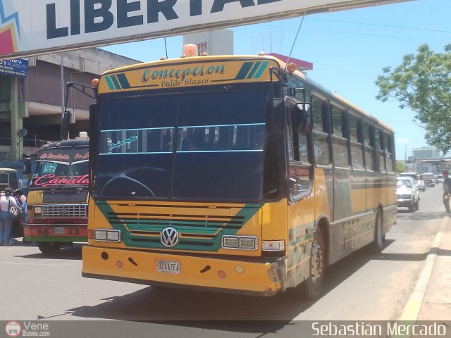 ZU - Colectivos Concepci�n 114 por Sebasti�n Mercado