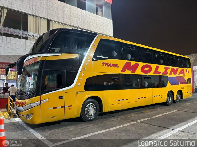 Transportes Molina Per� S.A.C. 960 por Leonardo Saturno