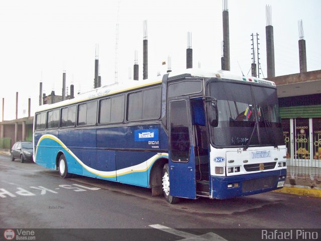 Transporte Nueva Generacin 0025 por Rafael Pino