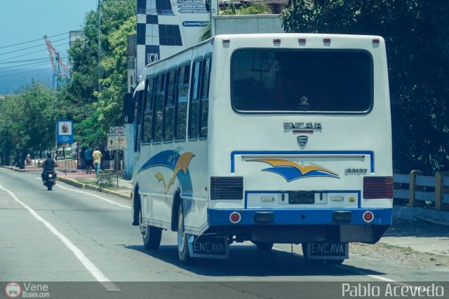 Particular o Desconocido Vargas por Pablo Acevedo