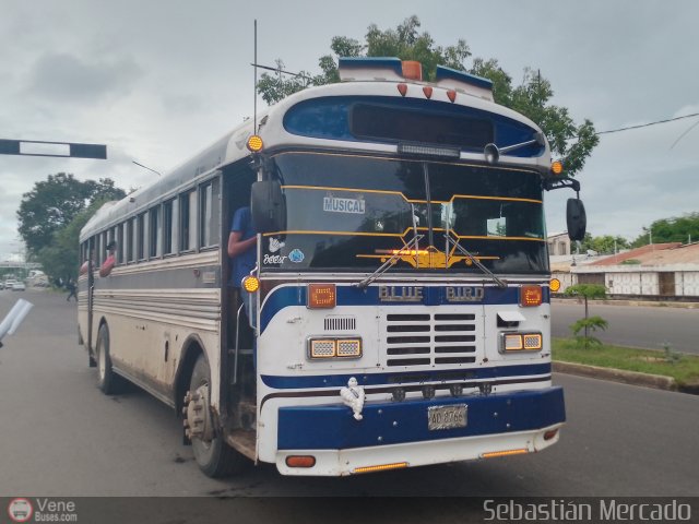 ZU - Ra�l Leoni 15 por Sebasti�n Mercado