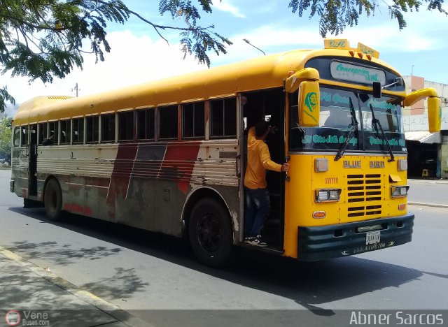 ZU - Colectivos Concepcin 092 por Abner Sarcos