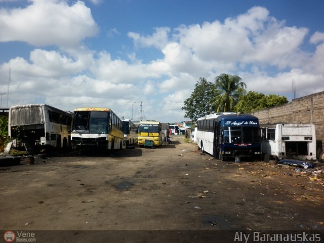 Garajes Paradas y Terminales Ciudad Guayana por Aly Baranauskas