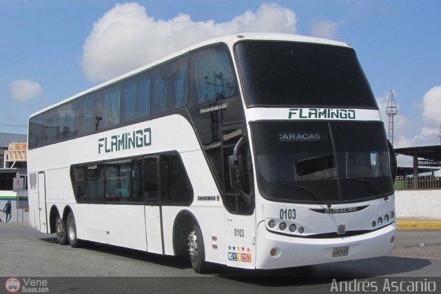 Expresos Flamingo 0103 por Andrs Ascanio