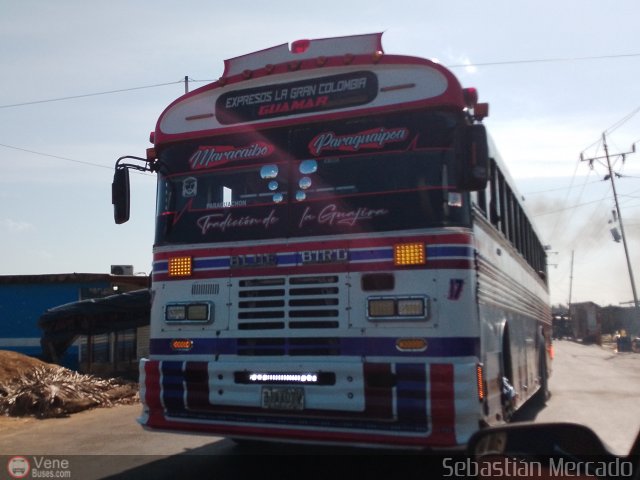 Expresos La Gran Colombia 17 por Sebastin Mercado