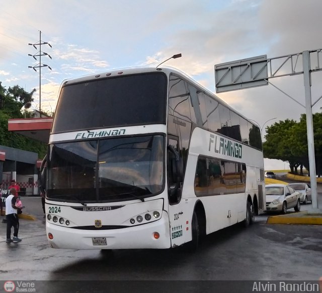 Expresos Flamingo 2024 por Alvin Rondn