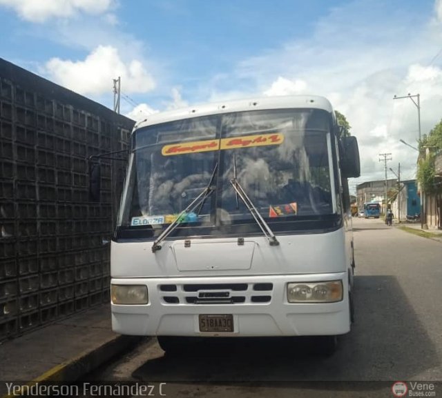 A.C. Transporte Paez 012 por Yenderson Cepeda