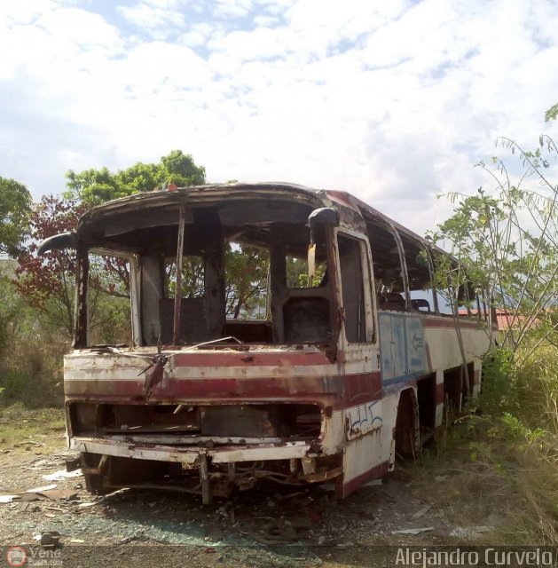 En Chiveras Abandonados Recuperacin 2906 por Alejandro Curvelo