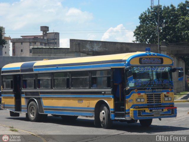 Uni�n Magdaleno A.C. 78 por Otto Ferrer