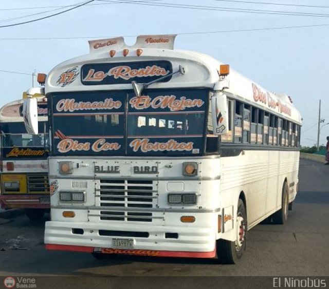 Colectivos La Rosita 017 por ngel Delgado