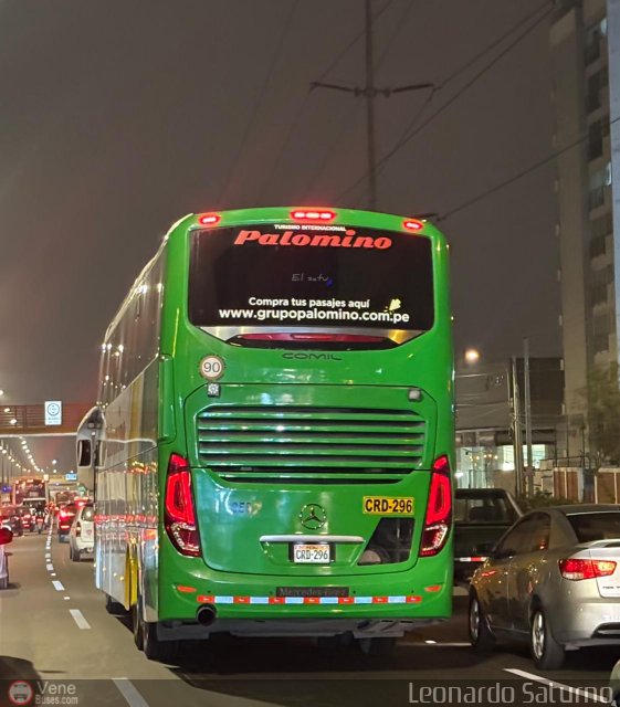 Expreso Internacional Palomino 7056 por Leonardo Saturno