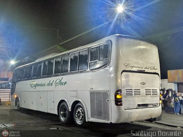 Expresos Del Sur 2013 por Santiago Dorante