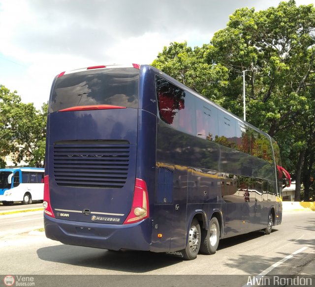 Tigres de Aragua B.B.C. 01 por Alvin Rond�n