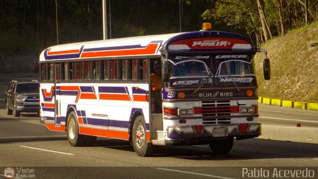 Expresos La Popular 25 por Pablo Acevedo