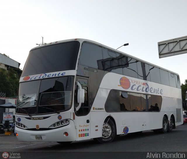 Expresos Occidente 310 por Alvin Rond�n