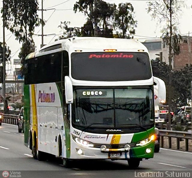 Expreso Internacional Palomino 7054 por Leonardo Saturno