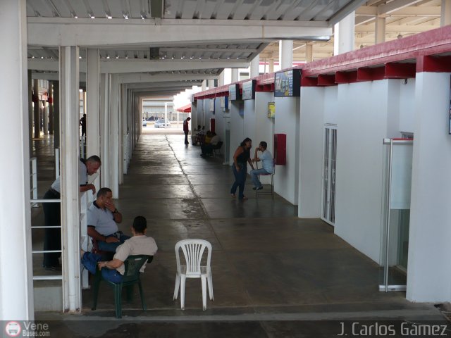Garajes Paradas y Terminales El Tigre por J. Carlos Gmez