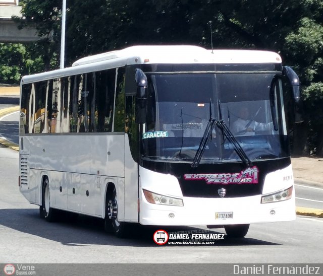 Expresos Pegamar 1011 por Daniel Fernndez